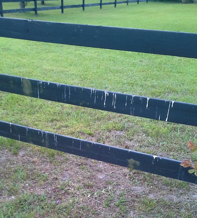 pooponthe fenced